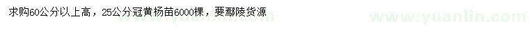 求購(gòu)高60公分以上黃楊苗
