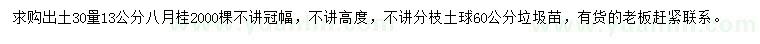求購出土30量13公分八月桂