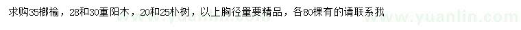 求購榔榆、重陽木、樸樹