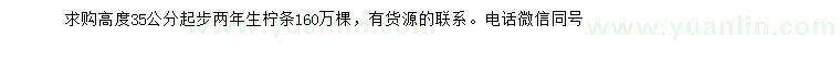 求購高35公分起步檸條