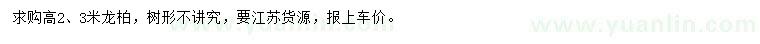 求購(gòu)高2、3米龍柏