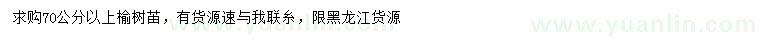 求購70公分以上榆樹苖