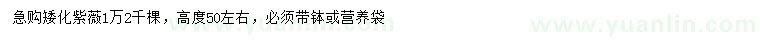 求購高50公分左右矮化紫薇