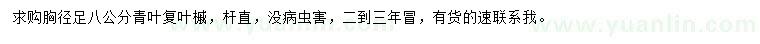 求購胸徑足8公分青葉復(fù)葉槭