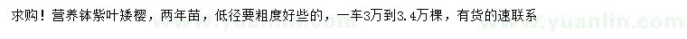 求購紫葉矮櫻兩年苗