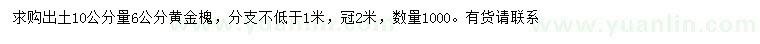 求購(gòu)出土10公分量6公分黃金槐