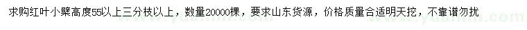 求購高55公分以上紅葉小檗