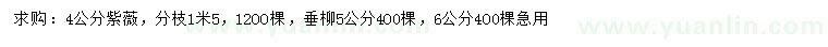 求購(gòu)4公分紫薇、5、6公分垂柳