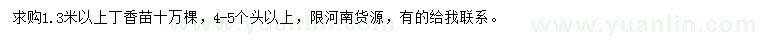 求購1.3米以上丁香苗