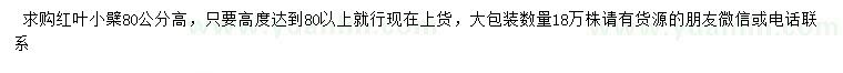 求購(gòu)高80公分紅葉小檗