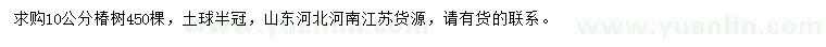 求購10公分椿樹
