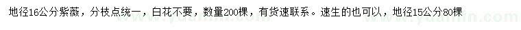 求購(gòu)地徑15、16公分紫薇