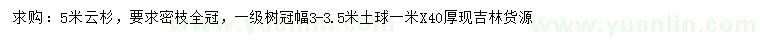 求購5米云杉