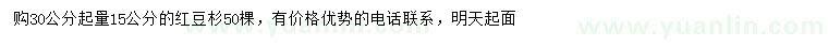 求購30公分起量15公分紅豆杉