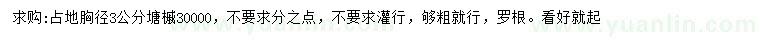 求購胸徑3公分糖槭