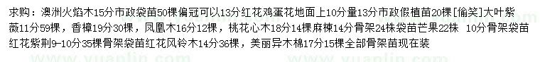求購澳洲火焰木、紅花雞蛋花、大葉紫薇等