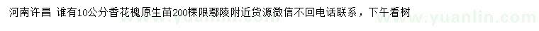 求購(gòu)10公分香花槐