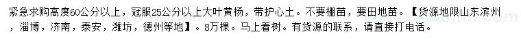 求購(gòu)高60公分以上大葉黃楊