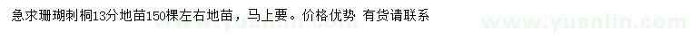 求購13公分珊瑚刺桐地苗