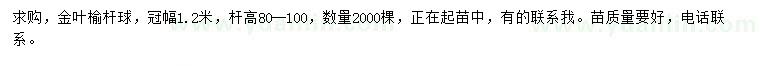 求購冠幅1.2米金葉榆桿球