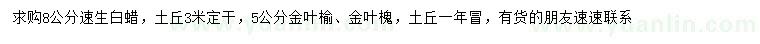 求購速生白蠟、5公分金葉榆、金葉槐