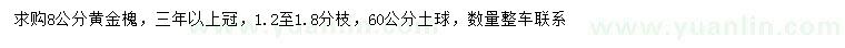 求購(gòu)8公分黃金槐