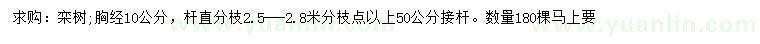 求購(gòu)胸徑10公分欒樹(shù)