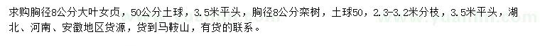 求購(gòu)胸徑8公分大葉女貞、欒樹(shù)