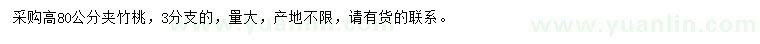 求購(gòu)高80公分夾竹桃