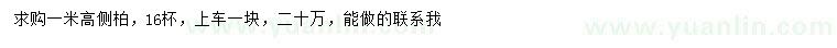 求購高1米側(cè)柏