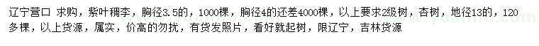 求購(gòu)胸徑3.5、4公分紫葉稠李、地徑13公分杏樹