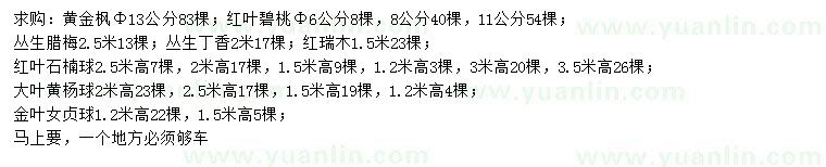 求購黃金楓、紅葉碧桃、叢生臘梅
