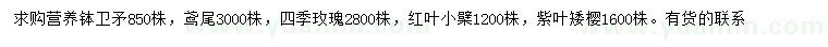 求購(gòu)衛(wèi)矛、鳶尾、四季玫瑰等