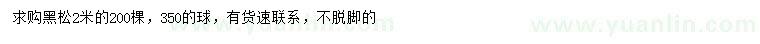 求購(gòu)2米黑松