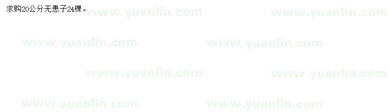求購(gòu)20公分無患子