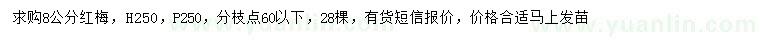 求購8公分紅梅