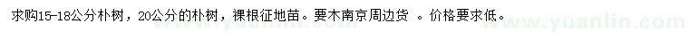 求購15-18、20公分樸樹