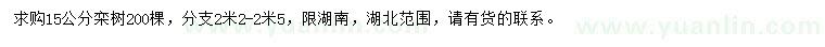 求購15公分欒樹