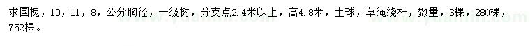 求購 胸徑8、11、19公分國槐