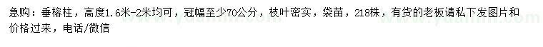 求購(gòu)高度1.6-2米垂榕柱