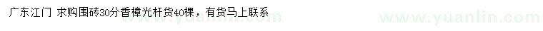 求購(gòu)30公分香樟