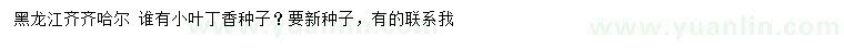求購(gòu)小葉丁香種子