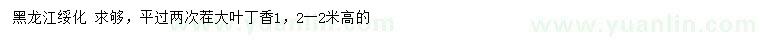 求購(gòu)高1.2-2米大葉丁香