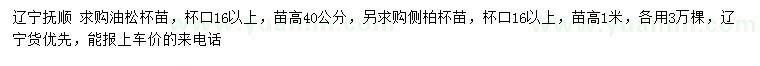 求購高40、100公分油松