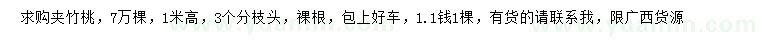 求購高1米夾竹桃