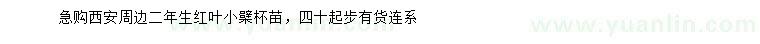 求購二年生紅葉小檗
