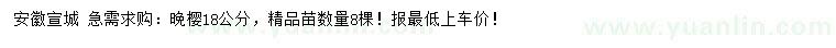 求購(gòu)18公分晚櫻