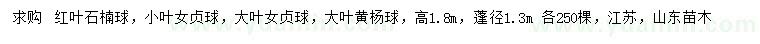 求購紅葉石楠球、小葉女貞球、大葉女貞球等