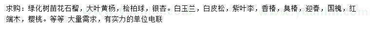 求購花石榴、大葉黃楊、檜柏球等