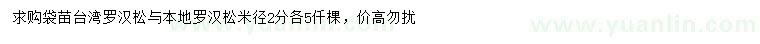 求購米徑2公分臺(tái)灣羅漢松、本地羅漢松